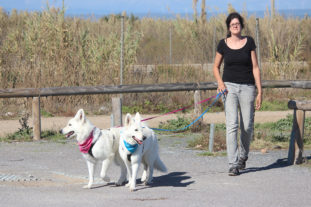 Frankreich 2014 10 13-033