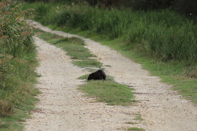 Frankreich 2014 10 14-034