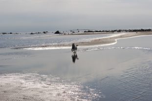 Schweden 152015