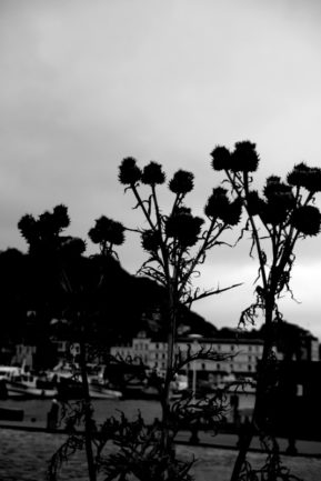 NormandieBretagne150258