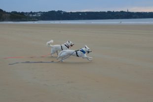 NormandieBretagne150024