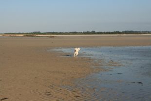 NormandieBretagne150034