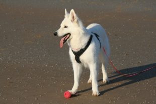 NormandieBretagne150128
