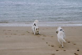 NormandieBretagne150404
