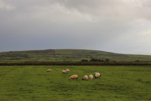englandirland160169