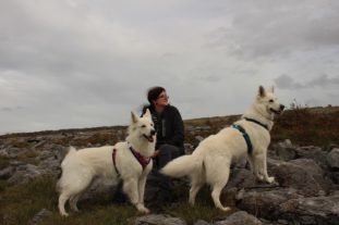 englandirland160233
