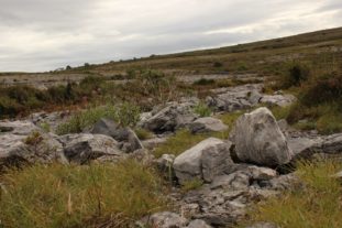 englandirland160237