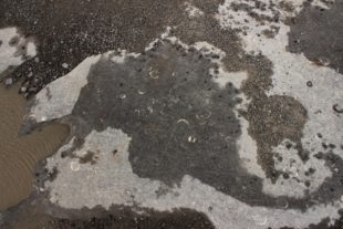 englandirland160262