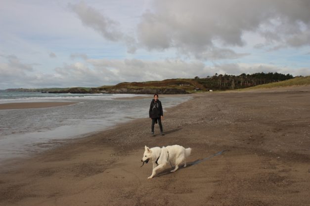 englandirland160295