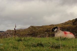 englandirland160422