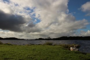 englandirland160459