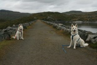 Norwegen170351