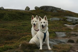 Norwegen170366