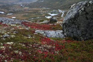 Norwegen170384