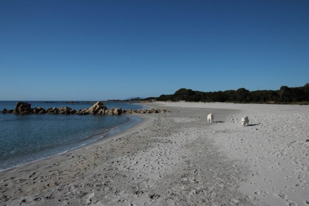 Sardinien_226