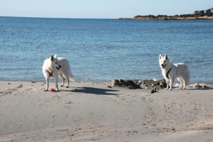Sardinien_271