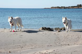 Sardinien_272