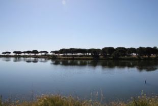 Sardinien_294