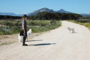 Sardinien_306