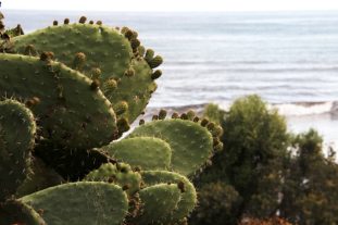 Sardinien_819