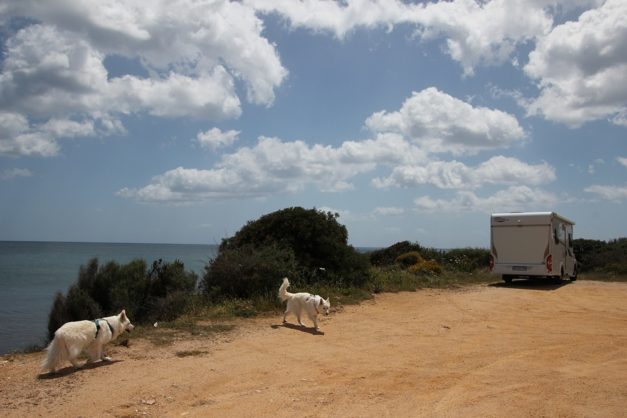 Sardinien_869