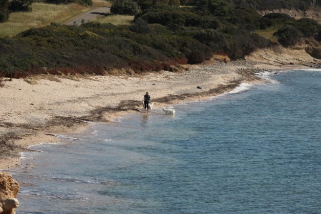 Sardinien_964