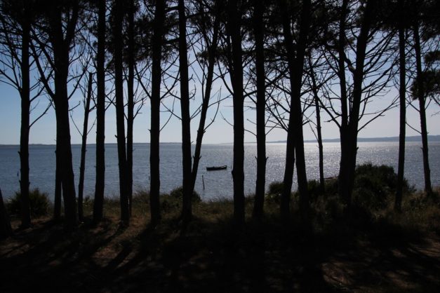 Sardinien_996
