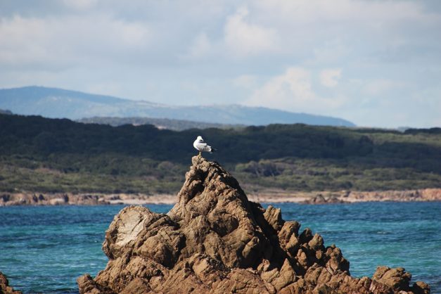 Sardinien_999_10