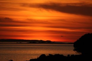 Sardinien_999_108