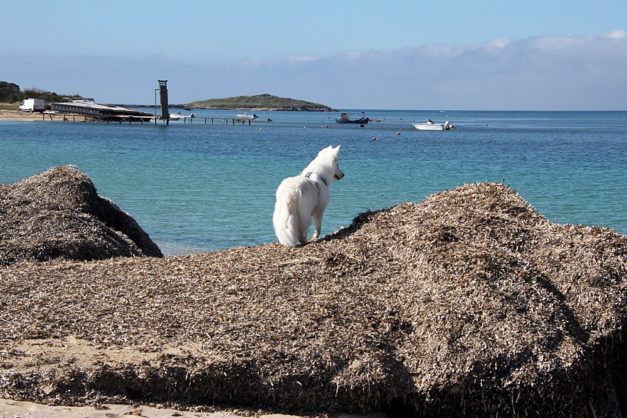 Sardinien_999_111