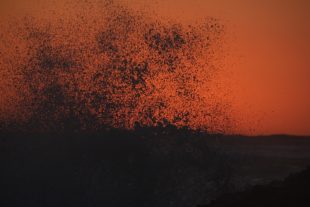 Sardinien_999_114