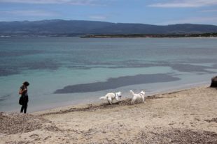 Sardinien_999_13
