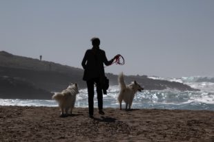 Sardinien_999_14