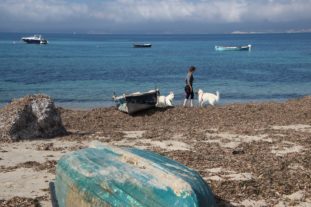 Sardinien_999_143