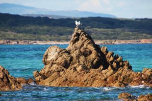 Sardinien_999_15