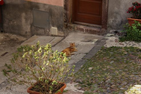 Sardinien_999_154
