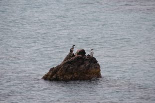 Sardinien_999_2