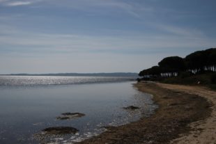 Sardinien_999_4