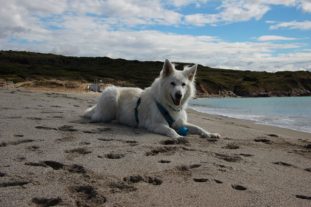 Sardinien_999_43
