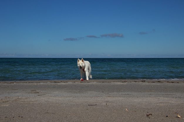 Sardinien_999_56