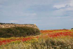 Sardinien_999_67