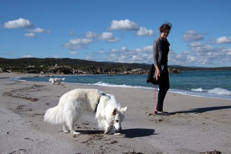 Sardinien_999_76